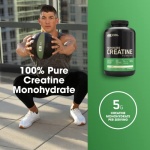 Optimum Nutrition Micronized Creatine Monohydrate Powder, Unflavored, Keto Friendly, 120 Servings (Packaging May Vary) - Image 6