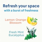 Clorox Disinfecting Mist, Multisurface Cleaner, Lemon and Orange Blossom, Sanitizing Spray & Refill, 16 Ounces(Pack of 2) - Image 19