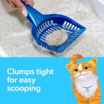 Fresh Step Light Weight Advanced Extreme Cat Litter with Febreze Freshness, Extra Strength Formula Clumping Litter, 25 lbs. (2 x 12.5 lb. Box) - Image 6