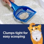 Fresh Step Clumping Cat Litter, Heavy Duty Advanced, Long Lasting 30-Day Odor Control with Odor Eliminating Carbon, 17.5 lb - Image 6