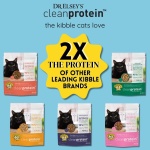 Dr. Elsey's Cleanprotein Salmon Formula Dry Cat Food, 6.6 Lb - Image 5