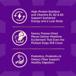 Wellness CORE+ Dry Dog Food with Freeze Dried Pieces, Grain Free, High Protein, Natural, Original Turkey & Chicken Recipe, (20-Pound Bag) - Image 6