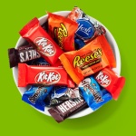 Hershey Assorted Chocolate Flavored Snack Size, Candy Party Pack, 33.43 oz - Image 5