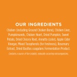 Instinct Raw Boost Mixers Gut Health Freeze-Dried Dog Food Topper, 5.5 oz. Bag - Image 4