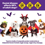 Wellness WHIMZEES Fall Dog Dental Treats, Autumn Natural Chews for Dogs, Small Size Stick, (12 Count) - Image 6