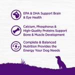 Wellness Complete Health Dry Puppy Food, Chicken, Salmon & Oatmeal, 15-Pound Bag - Image 7